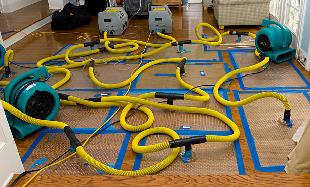 Professional Crawl Space Water Removal technician working in Astoria, OR